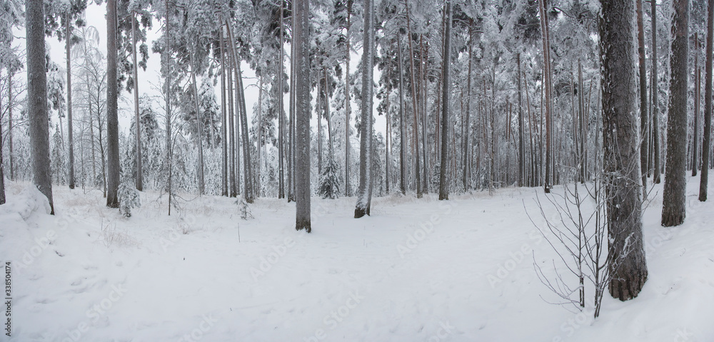 Fototapeta premium Finlandia