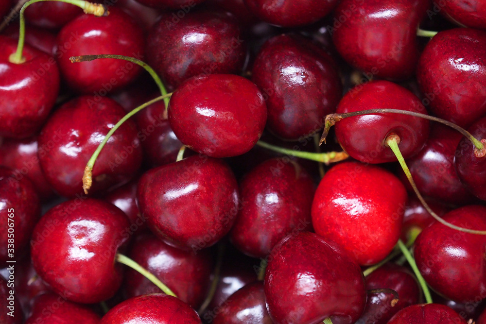 Fresh sweet cherry background, prunus avium Fresh sweet cherry background, prunus avium