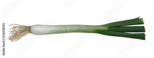 Fresh leek isolated on white background with clipping path