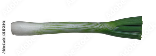 Fresh leek isolated on white background with clipping path