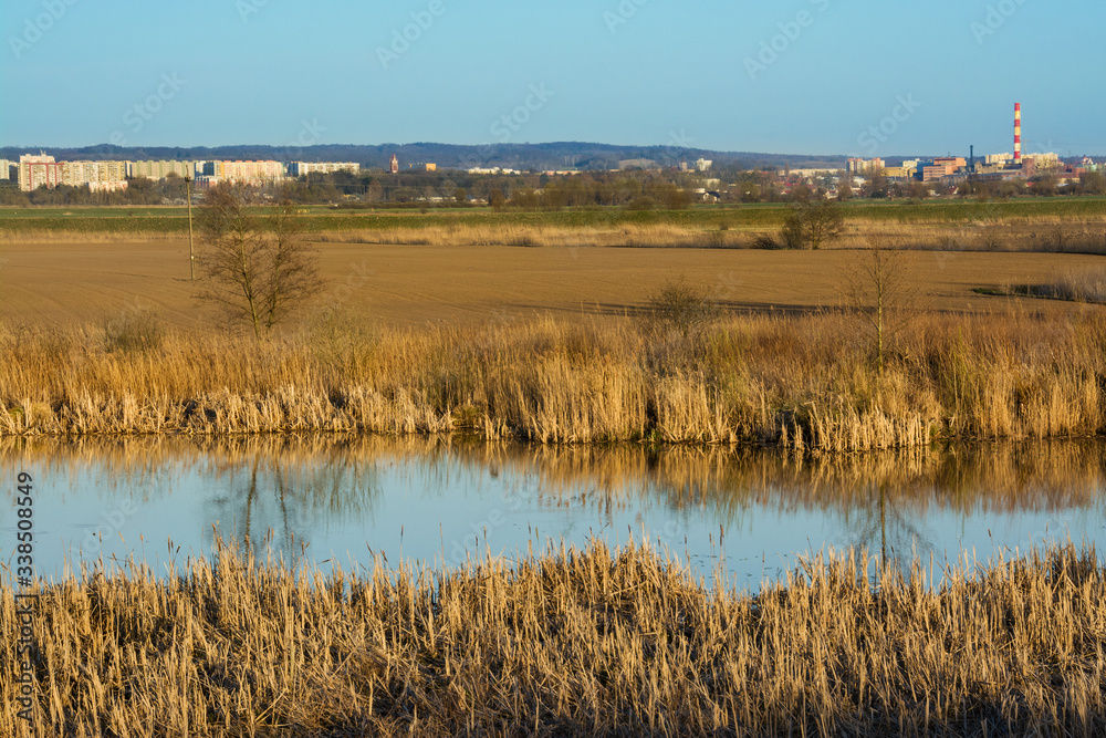 River, field and city of Elblag in the background, Poland. Beautiful spring landscape