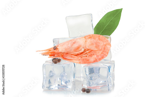 Shrimp on ice cubes background, isolated on white.