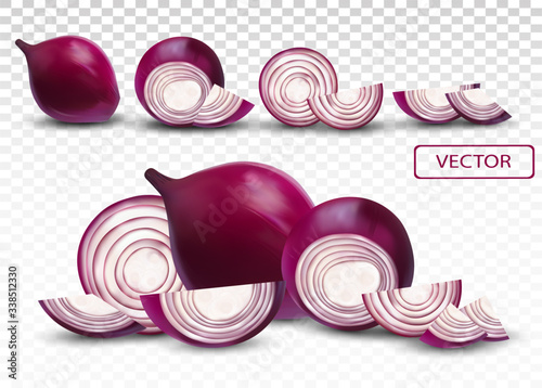 Red onion. Half, piece onion on transparent background. 3d realistic onion. Vector illustration.