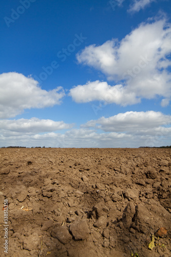 Fertile brown humic soil, prepared for sowing or planting, under a blue sky with white clouds