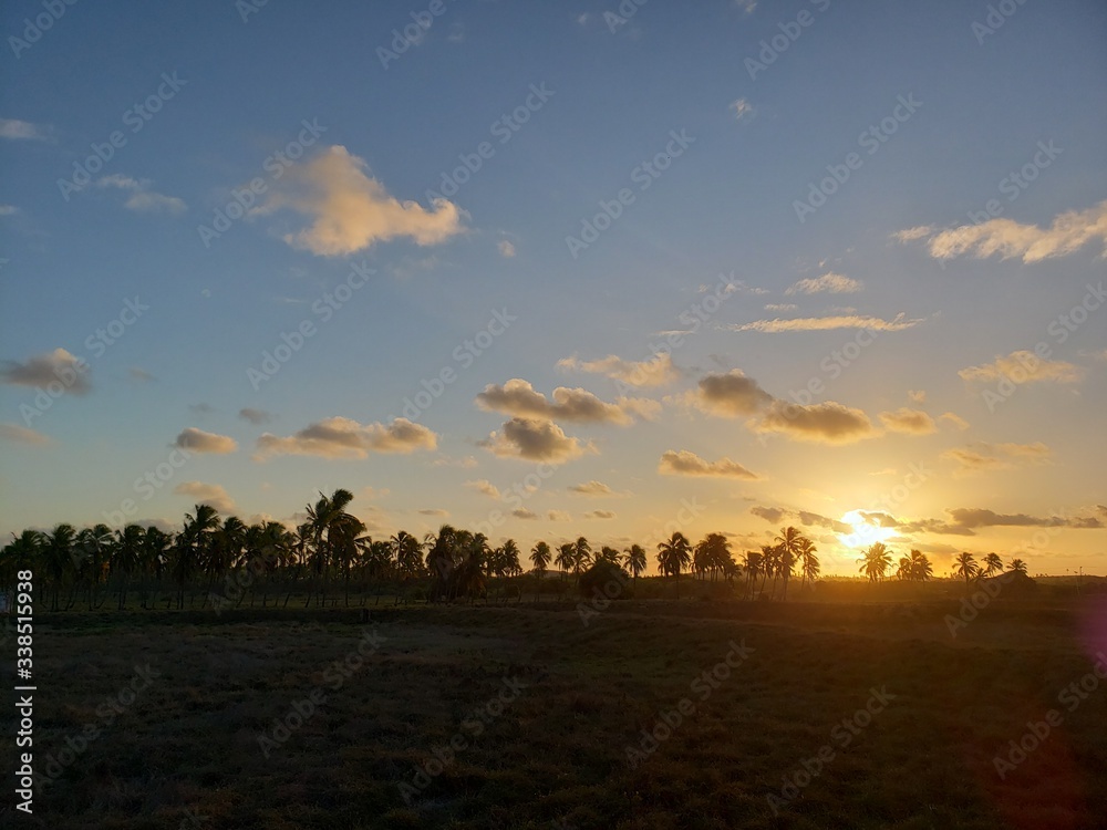 pôr do sol, coqueiros, palmeiras, praia, natureza, mar, férias, paraíso pôr do sol, coqueiros, palmeiras, praia, natureza, mar, férias, paraíso