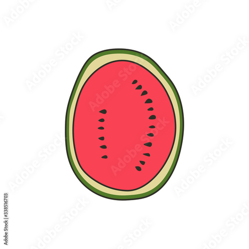 Isolated watermelon slice on white background in vector. Vector illustration of watermelon