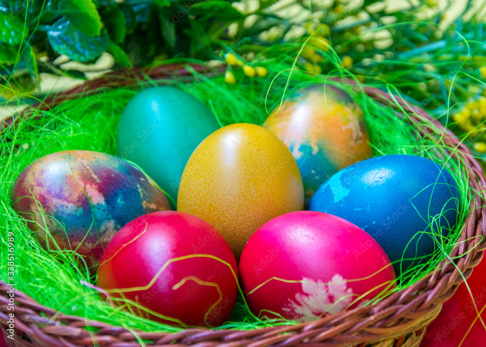 Green grass nest in a basket with colored chicken Easter eggs, multicolored painted eggs, Easter tradition, plastic flower as a decoration on the back, celebration concept 
