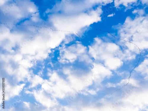 Obraz Migracja ptaków