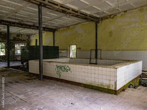 A dirty  forgotten swimmingpool with grafitti and moss in an abandoned building