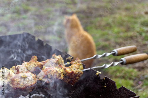 Two portion of spiced meat frying on outside barbeque, and red cat sitting on distance, waiting for food. Concept of weekend barbeque in garden with pets around.