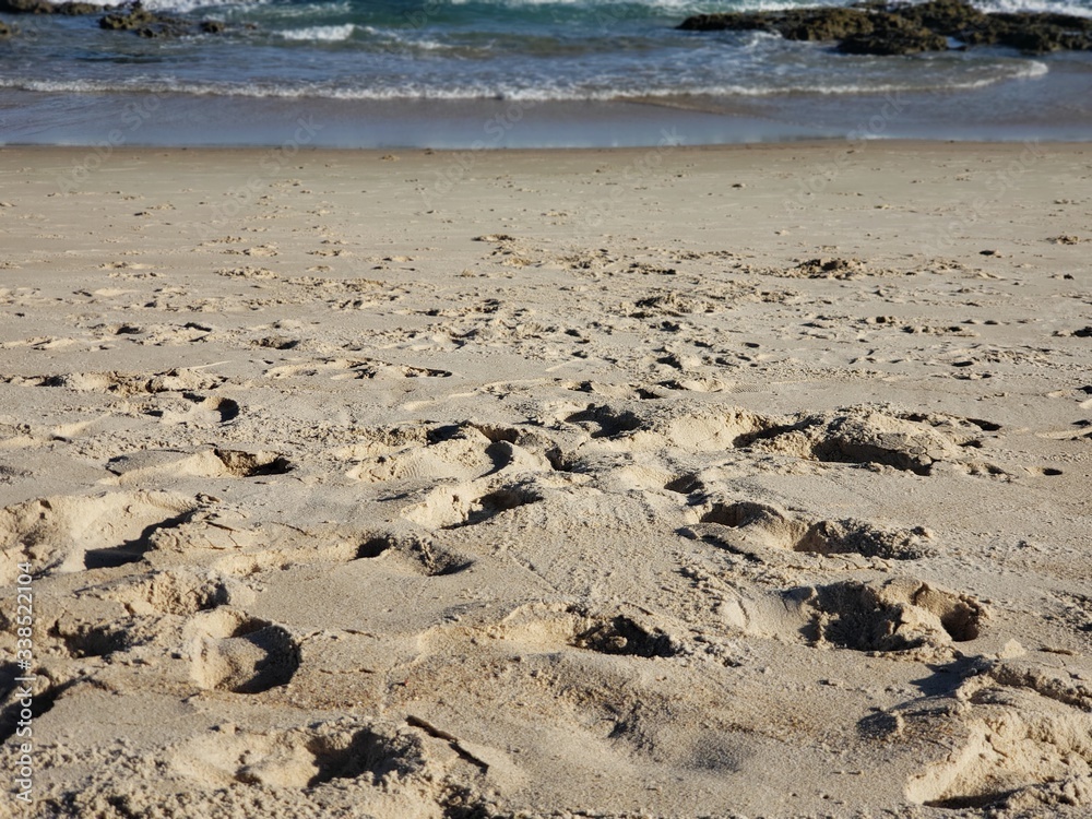 praia, areia, mar, férias, natureza, pedras, pegadas praia, areia, mar, férias, natureza, pedras, pegadas