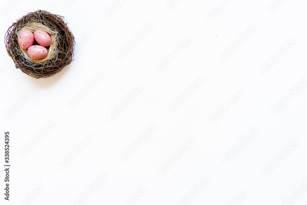 Eggs in nest Eggs in nest