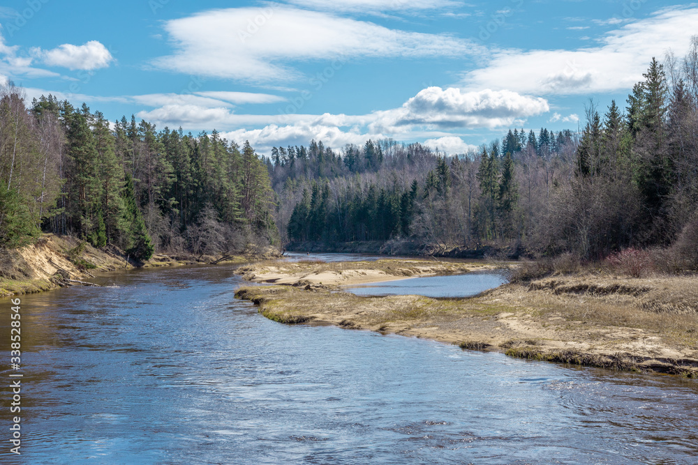 Beautiful wild river view in springtime in forest