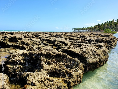 recifes, praia, mar, natureza, nordeste, brasil, porto galinhas,  photo