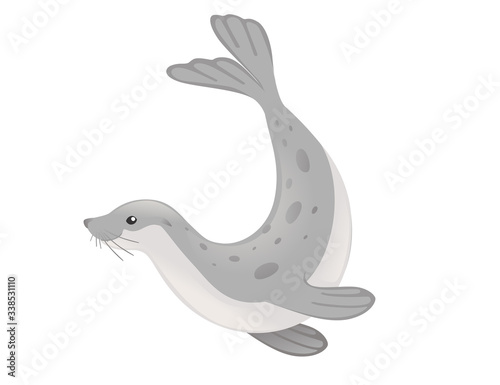 Cute seal cartoon animal design flat vector illustration isolated on white background