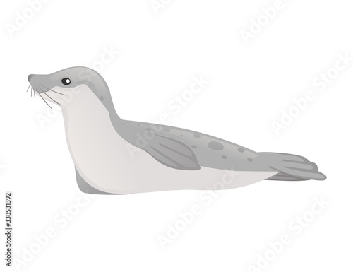 Cute seal cartoon animal design flat vector illustration isolated on white background