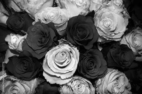 A bouquet of roses in the grunge style. Black and white bouquet of roses.