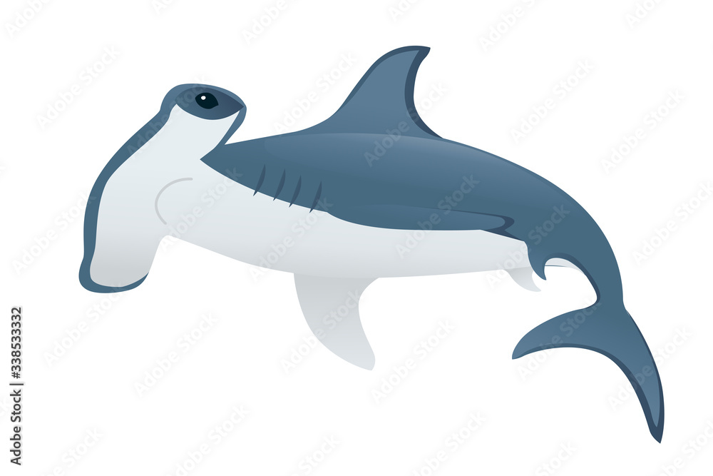 Hammerhead shark underwater giant animal simple cartoon character design flat vector illustration isolated on white background Hammerhead shark underwater giant animal simple cartoon character design flat vector illustration isolated on white background