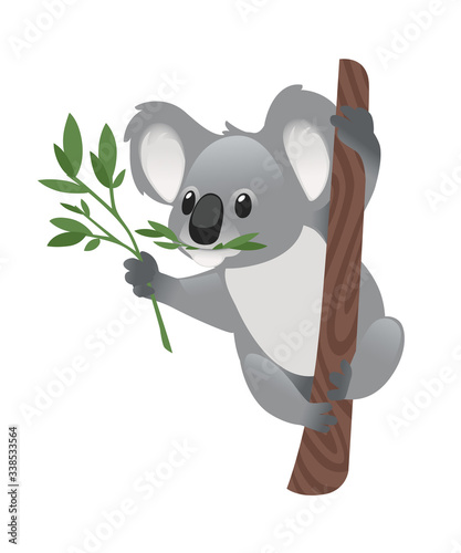 Cute grey koala bear sit on wood branch and eating green leaves cartoon animal design flat vector illustration isolated on white background