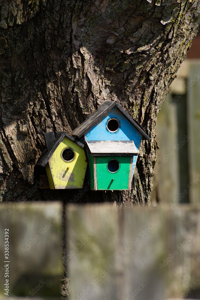 Birdhouse on Tree