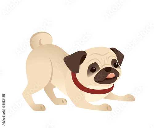 Cute small friendly pug dog cartoon domestic animal design flat vector illustration isolated on white background © An-Maler