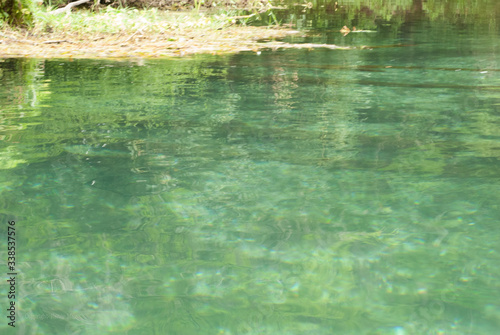 Crystal clear fresh water spring-fed river in Dunnellon, Florida. Rainbow Springs State Park. photo