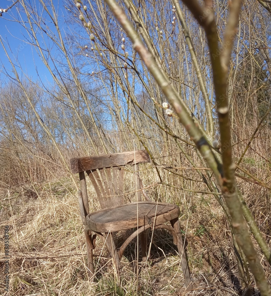 old broken chair stands in the stale grass, loneliness and old age concept
old broken chair stands in the stale grass, loneliness and old age concept
