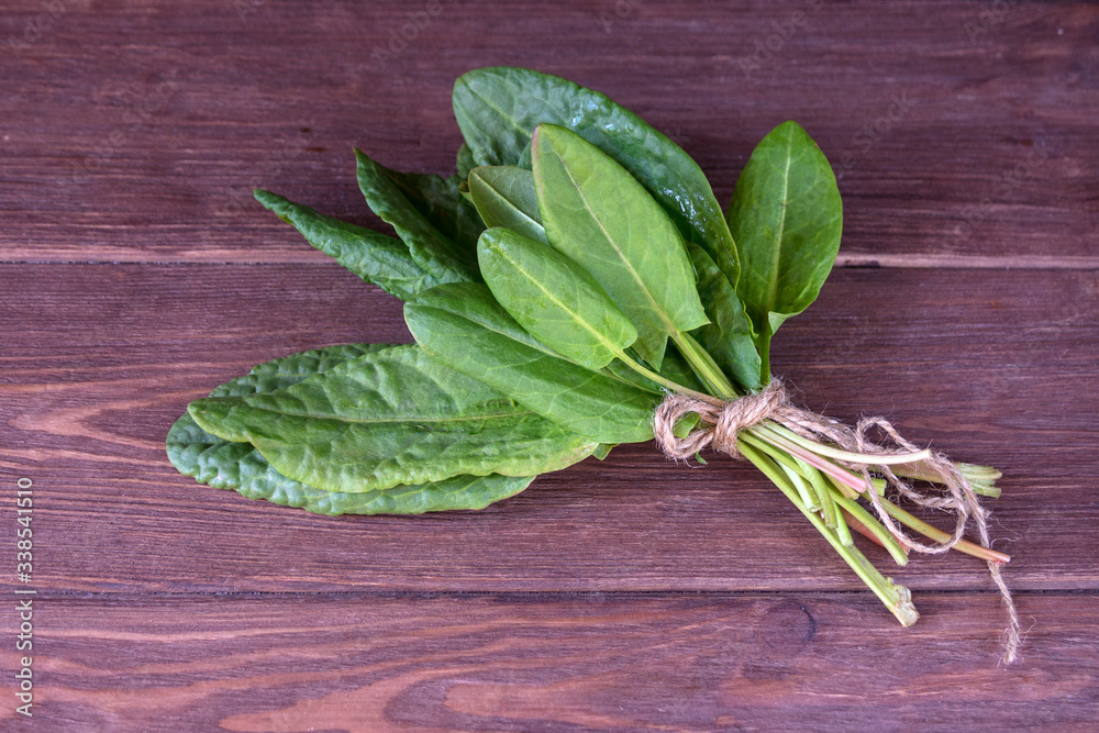 Young green leaves of sorrel tied in a pile on a wooden background. Useful vegetable culture and medicinal plant Rumex acetosa, rich in vitamins and minerals. - obrazy, fototapety, plakaty 