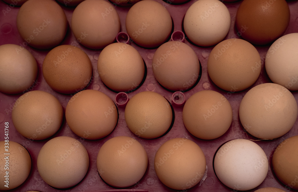 lots of eggs, chicken egg tray, Easter eggs