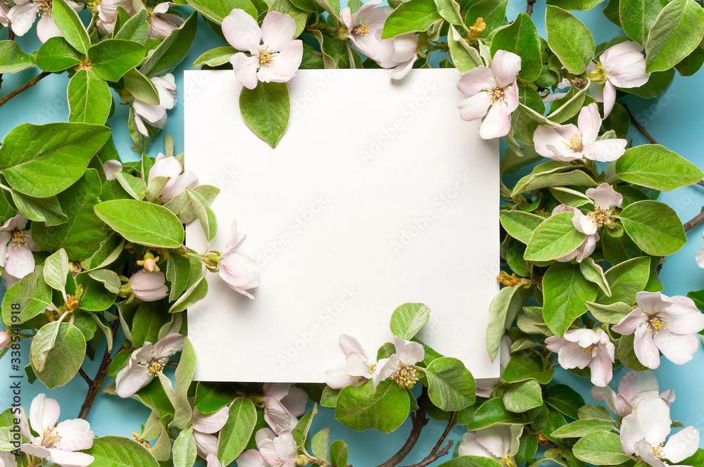 Creative spring minimal concept. Beautiful blooming spring twigs, white blank paper on blue background flat lay top view. Springtime concept flowers composition bloom white flowers. Layout for design