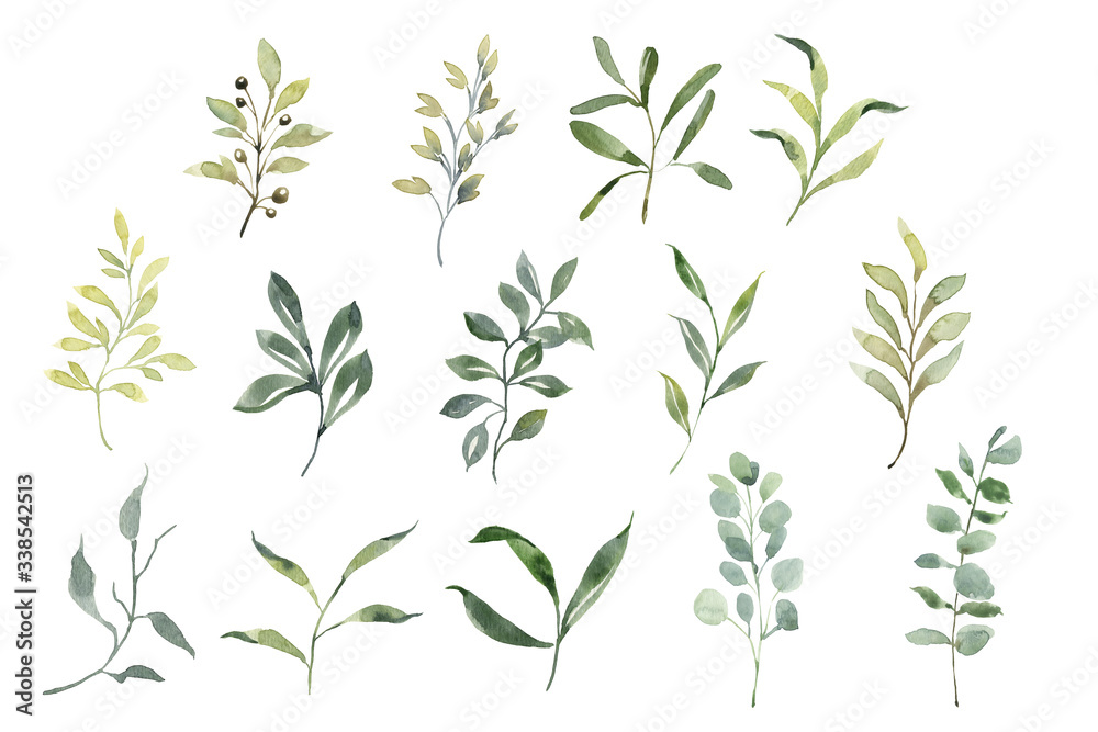 Fototapeta Beautiful set with watercolor foliage. Hand painted illustration. Green branches and leaves. Best for background, wallpaper, wrapping paper, textile, prints, wedding invitation, party supplies.