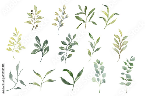 Beautiful set with watercolor foliage. Hand painted illustration. Green branches and leaves. Best for background  wallpaper  wrapping paper  textile  prints  wedding invitation  party supplies.
