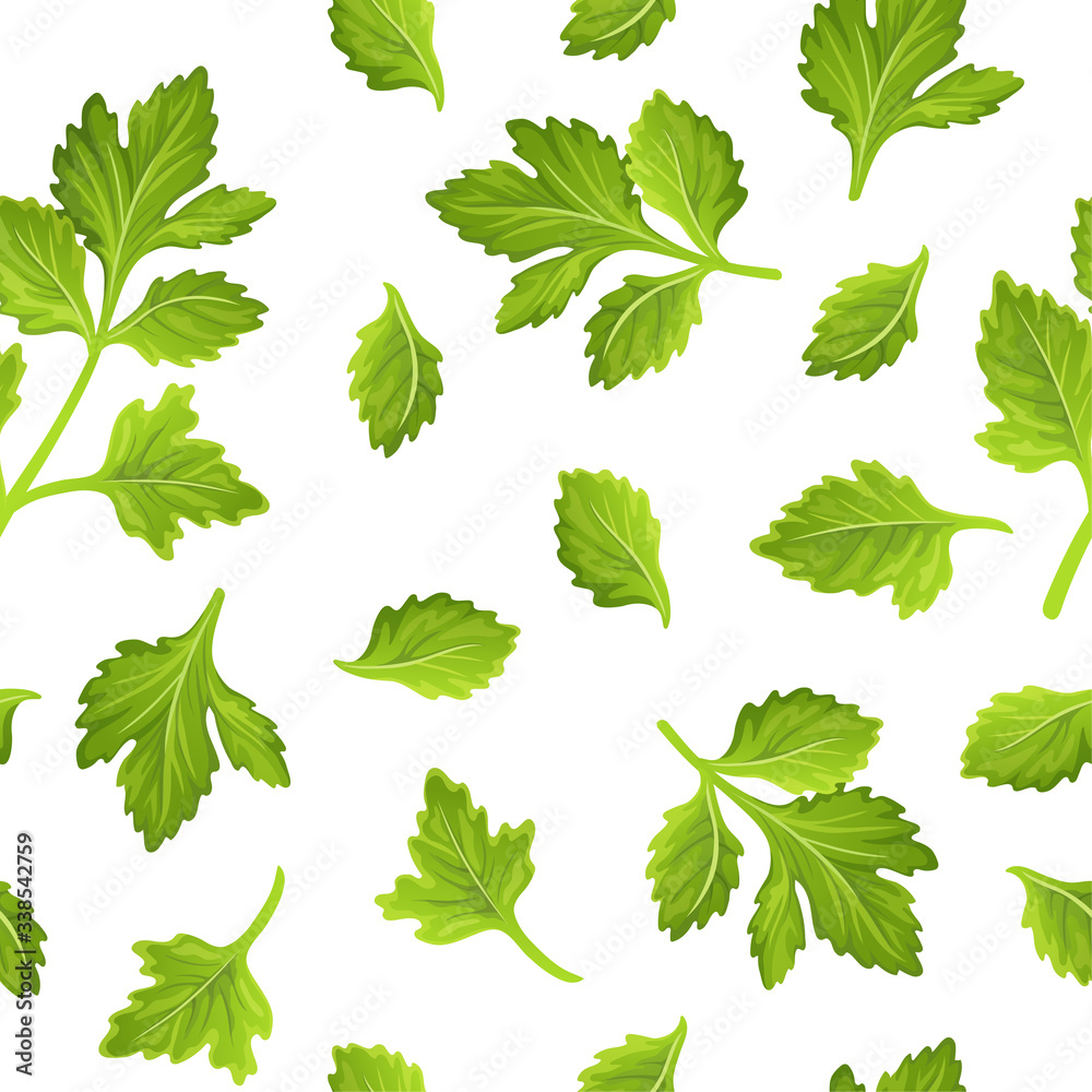 Leaves celery, parsley, cilantro. Seamless vector pattern on a white background. Leaves celery, parsley, cilantro. Seamless vector pattern on a white background.