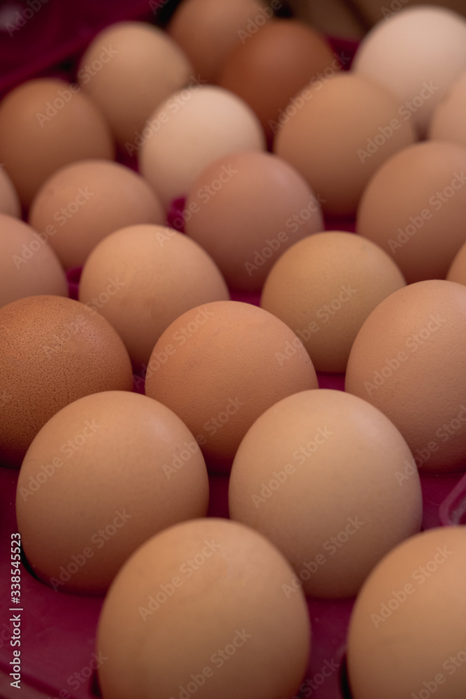 lots of eggs, chicken egg tray, Easter eggs lots of eggs, chicken egg tray, Easter eggs