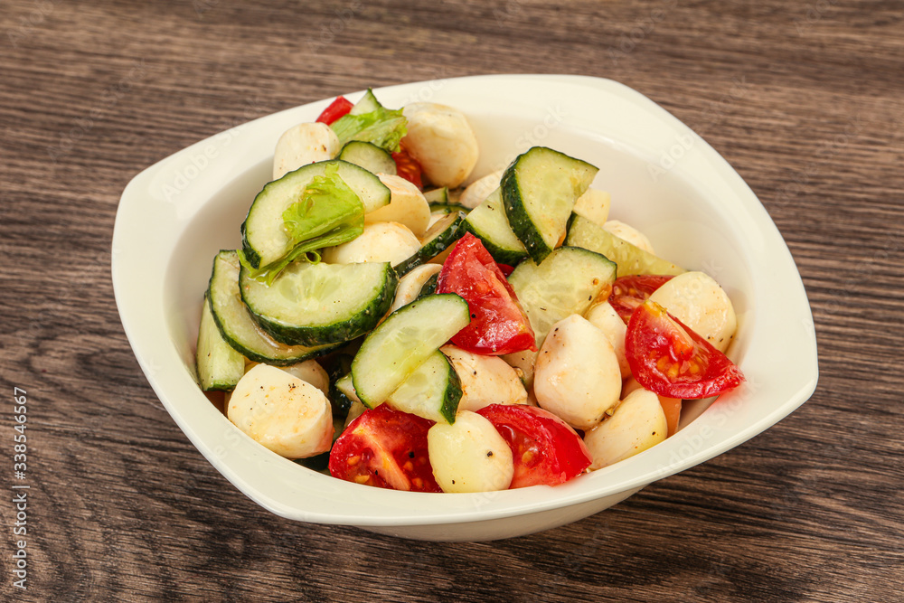 Salad with vegetables and mozzarlla
