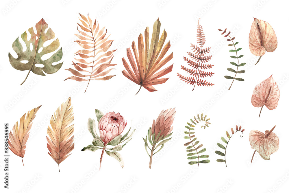 Watercolor set of tropical plants. Pastel colors. Hnad painted illustration. Clipart. Isolated element. Modern exotic plants. Tropical flowers. best for prints, invitations, DIY