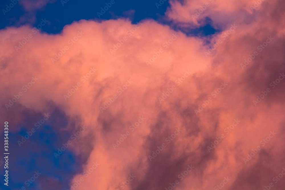 pink clouds on a background of blue sky at sunset pink clouds on a background of blue sky at sunset