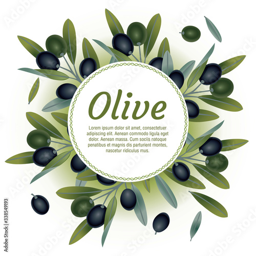 Organic natural food olive tree branch background vector illustration