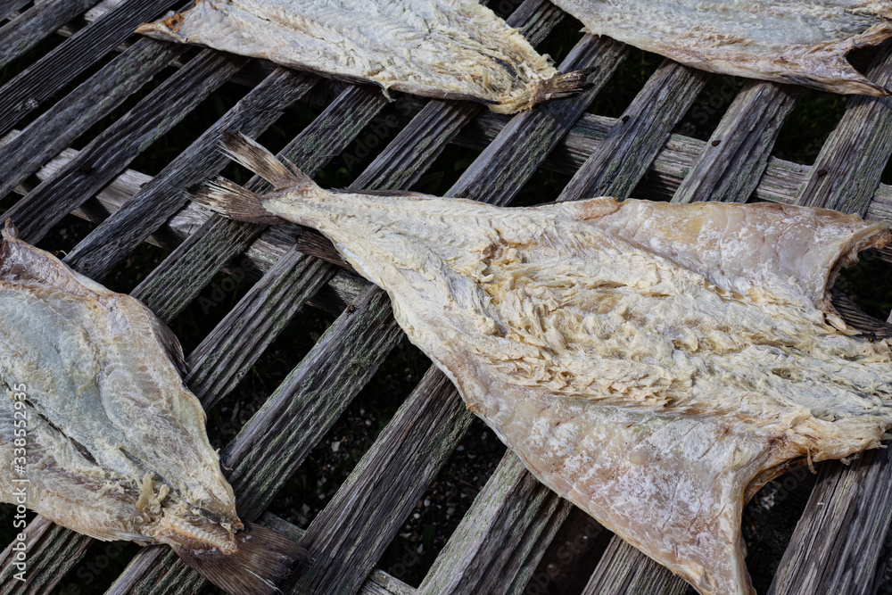 Cod fish, split open and drying on a wooden slat rack, horizontal aspect Cod fish, split open and drying on a wooden slat rack, horizontal aspect