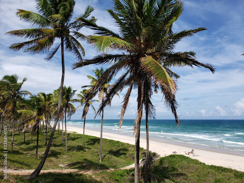paraíso na beira mar, praia, férias paraíso na beira mar, praia, férias
