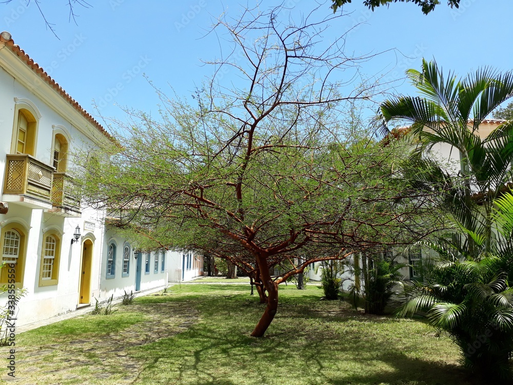 Obraz premium Paisagem