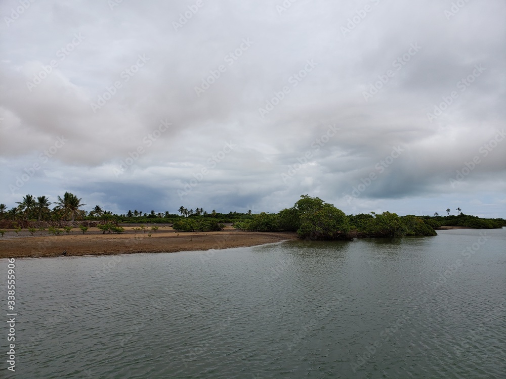 rio, vegetação, pântano, alagamento, baixa, alta, água, cheia, rio, vegetação, pântano, alagamento, baixa, alta, água, cheia,