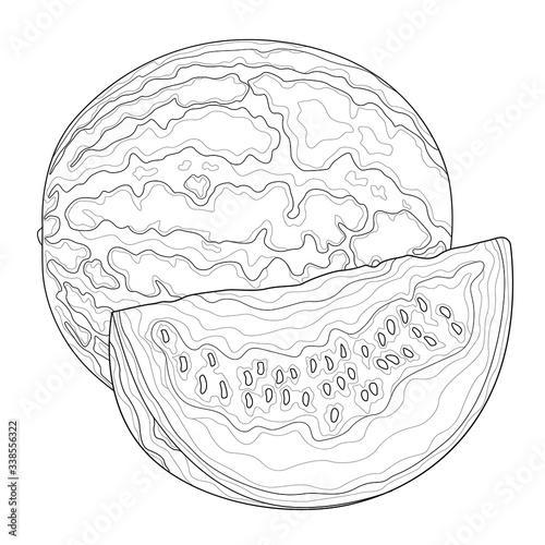 Watermelon isolated on white background. Fruit.Black and white drawing.Coloring book antistress for children and adults. Illustration isolated on white background.Zen-tangle style.