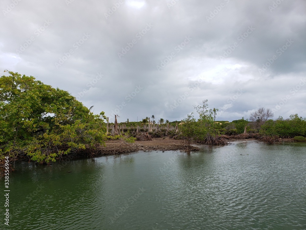 Fototapeta premium rio, água, verde, natureza, vida, preservado, sem contaminação, sem poluição