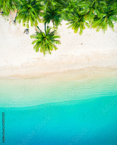 tropical sea and beautiful beach with coconut palm trees