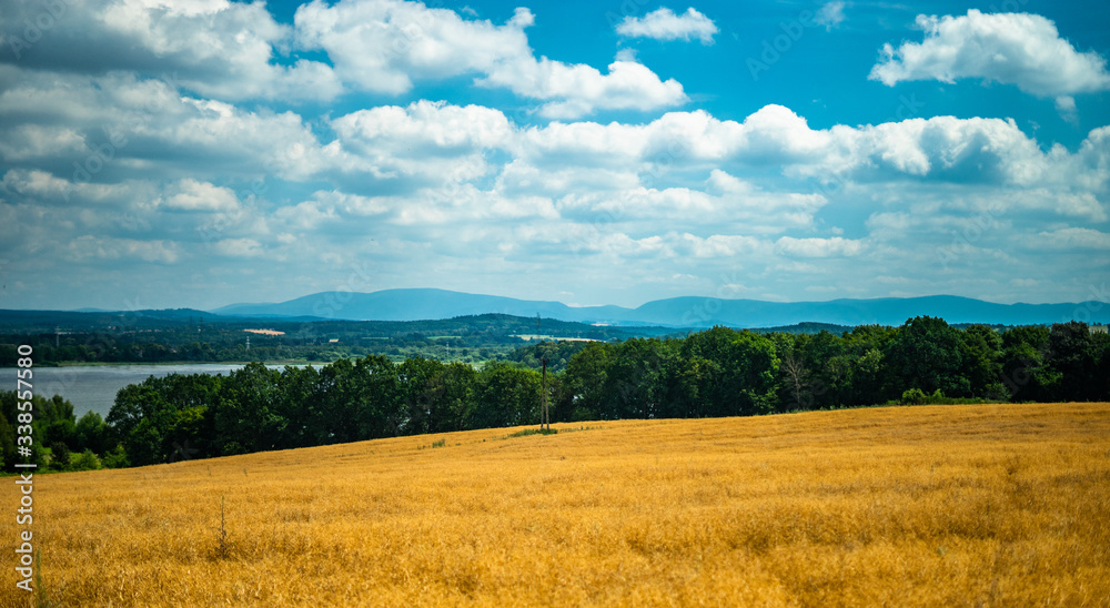 Rural landscape with yellow rape and mountains in the background Rural landscape with yellow rape and mountains in the background