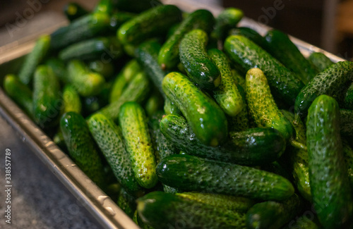 Green cucumbers in a steel tray