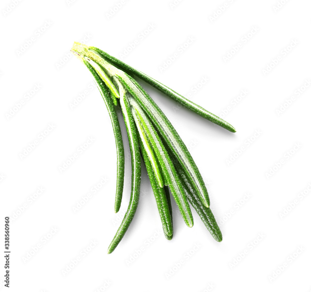 Fototapeta premium Fresh rosemary on white background