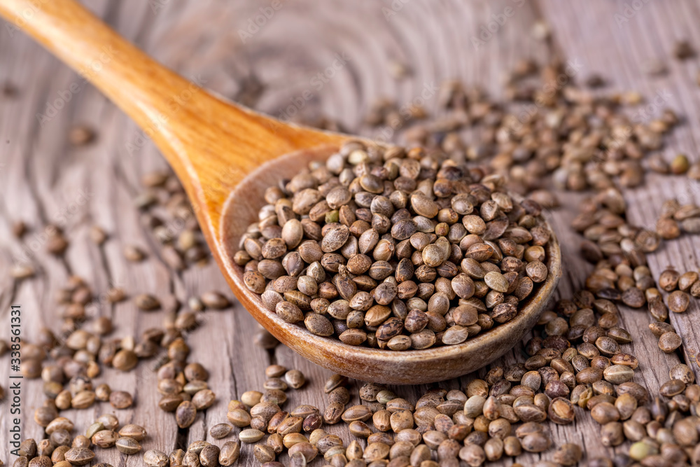 Dried hemp seeds Dried hemp seeds