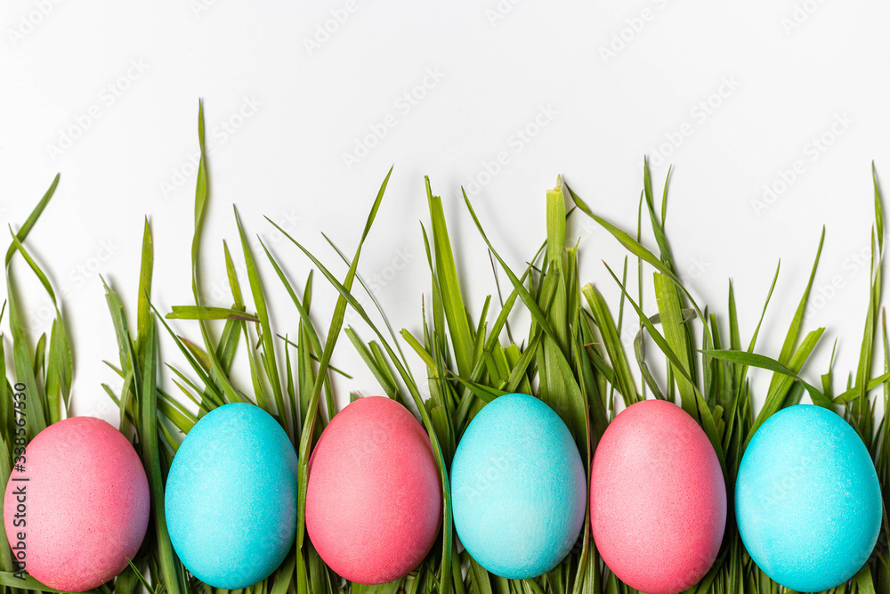 Fototapeta premium Colorful Easter eggs on fresh green grass isolated on white background. Easter symbol, close-up, copy space